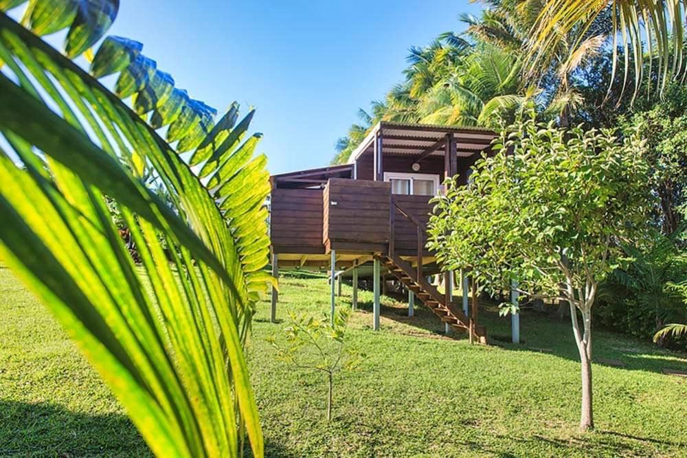L'Escapade Creole Jacuzzi Privatif Bungalow Ananas Saint-Joseph Ngoại thất bức ảnh